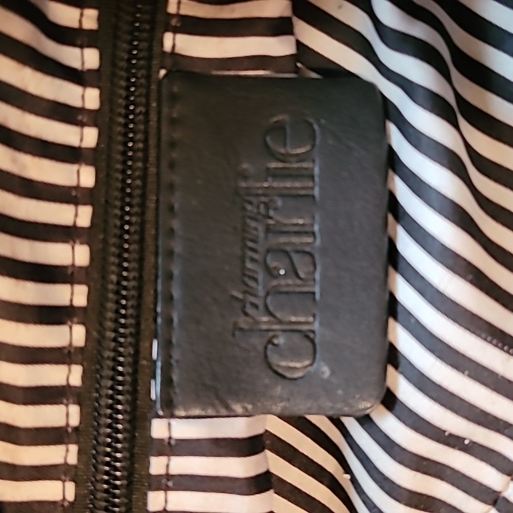 Charming Charlie purse